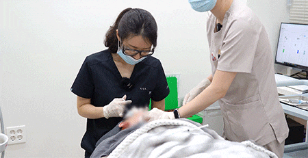 압구정 줄기세포 주사 스킨부스터 하나씩 찾기 전 피부 재생을 살펴보는 이유 사진 2